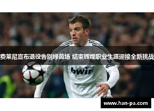 费莱尼宣布退役告别绿茵场 结束辉煌职业生涯迎接全新挑战 费莱尼宣布退役告别绿茵场 结束辉煌职业生涯迎接全新挑战